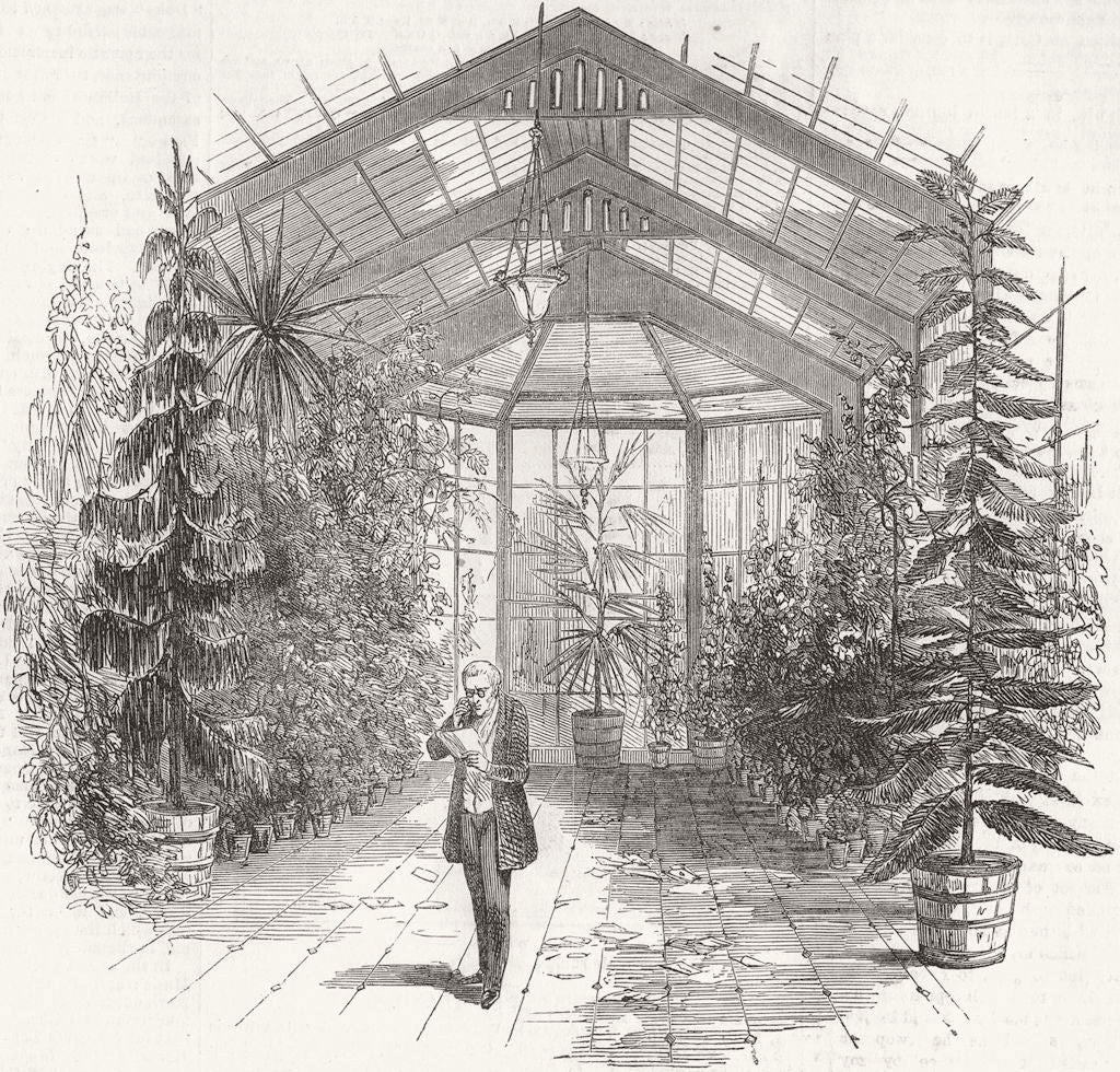 STRATFIELD SAYE. Conservatory  1852 old antique vintage print picture